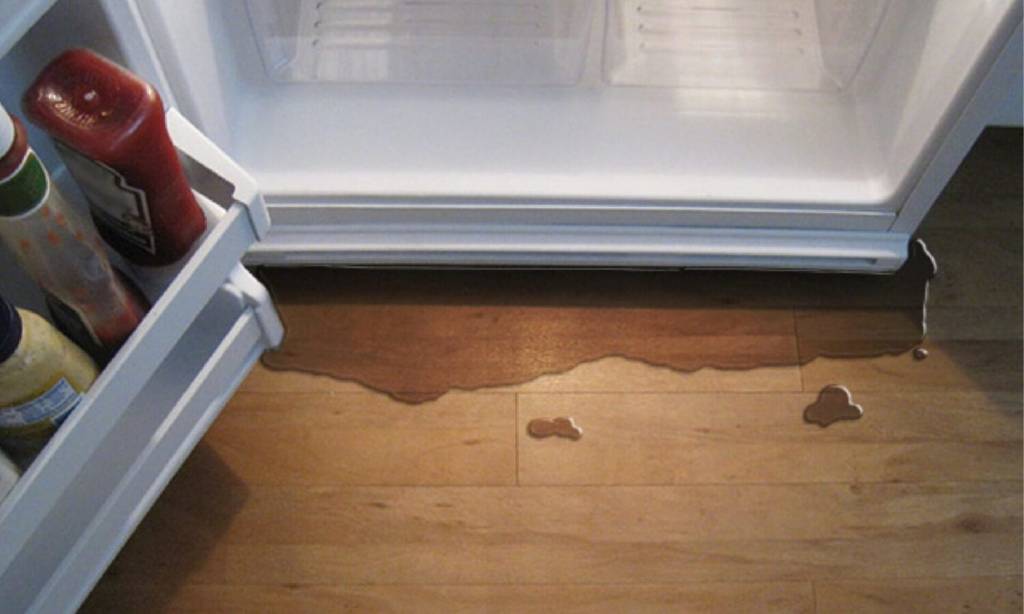 Electrolux fridge Water Leaks