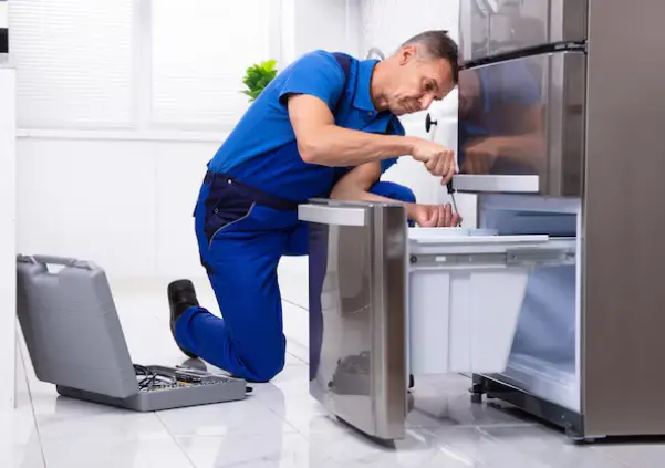 Premier Fridge Electrical & Noise-Related Issues
