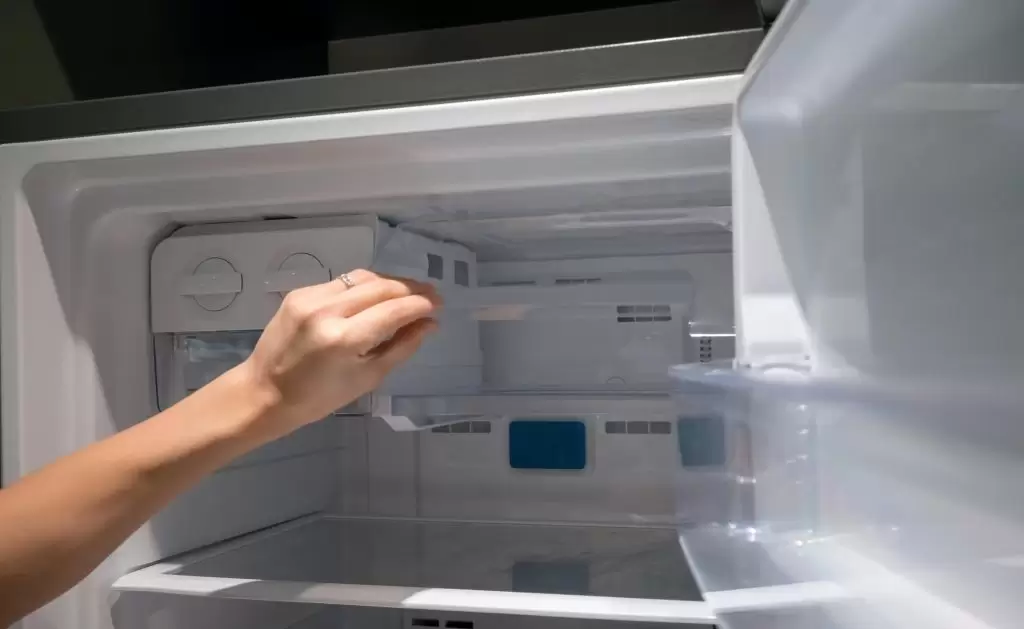 Sharp Fridge Ice Maker & Water System Issues