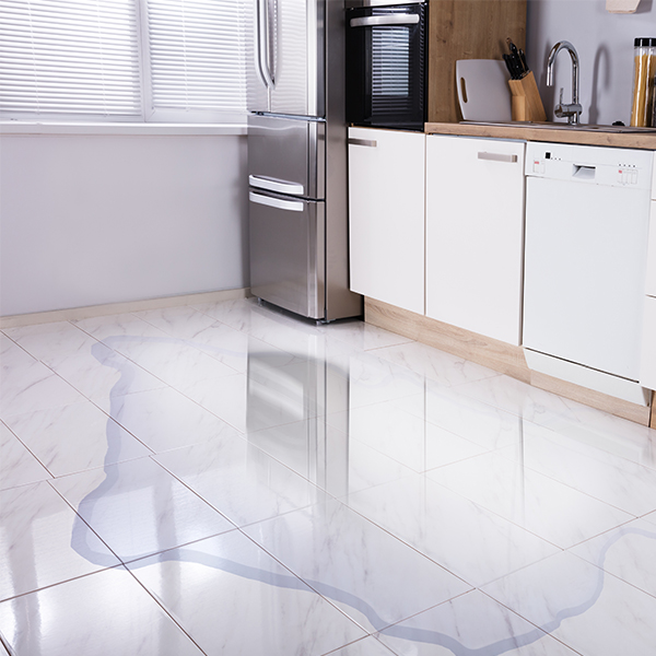 Wood’s fridge Water Leaks, Moisture, and Drain Failures
