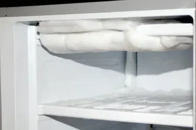 Wolf Fridge Frost issue