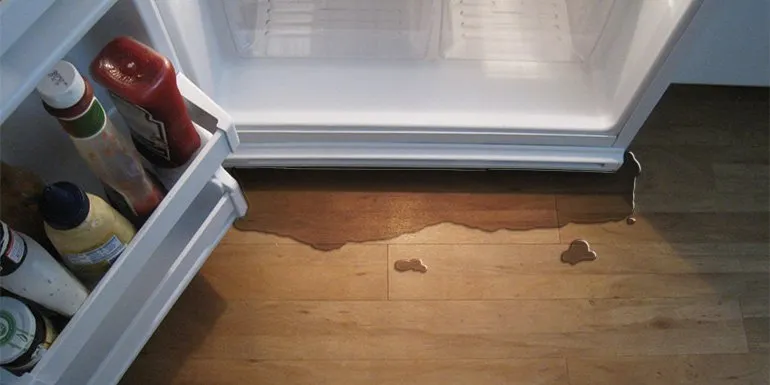 Moffat fridge Leaks, Water Damage, and Excess Moisture
