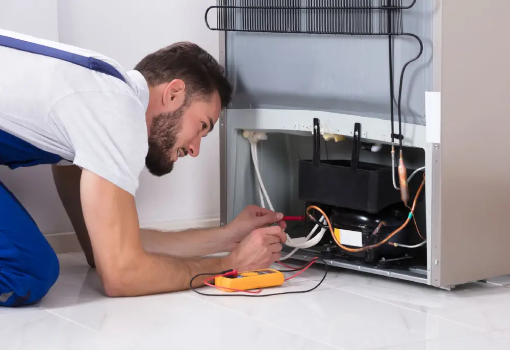 Fridge Electrical Thermostat Problems