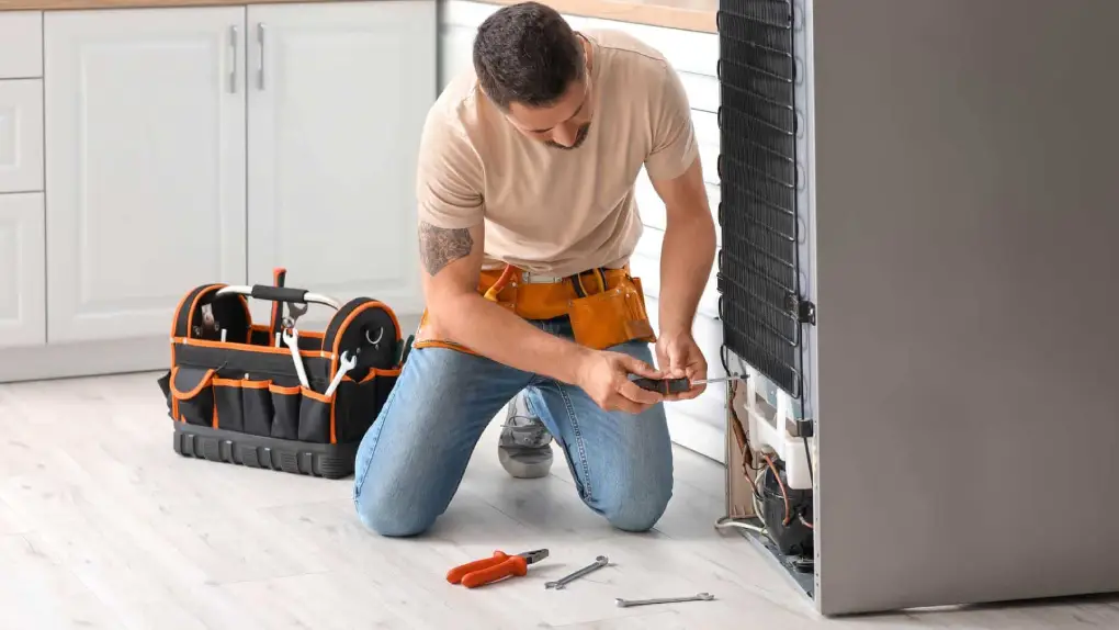 Liebherr Fridge repair Service