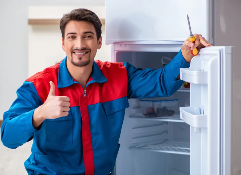Blomberg Fridge repair Service
