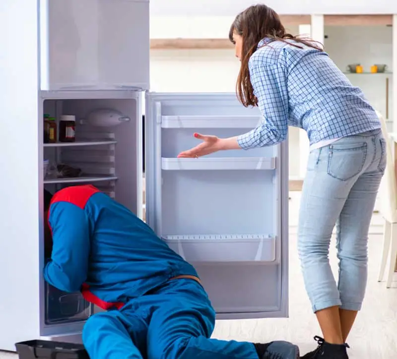 Wolf Fridge repair Service