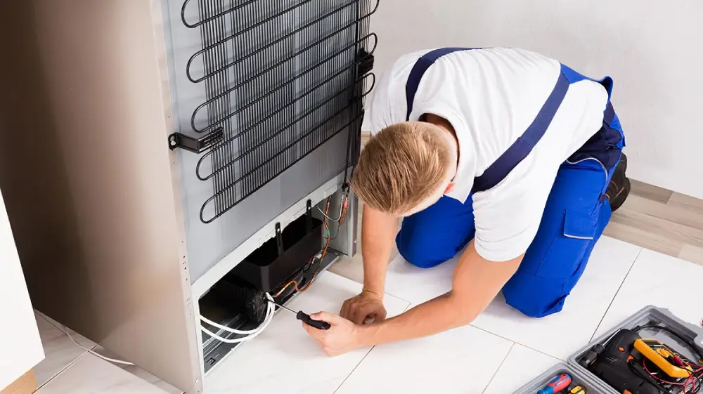 Roper Fridge repair Service