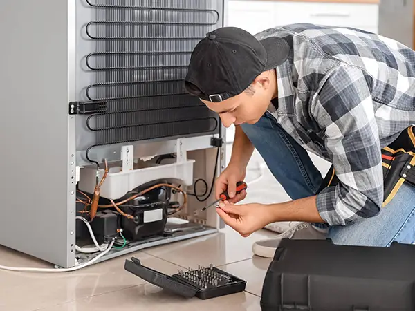 Premier Fridge repair Service