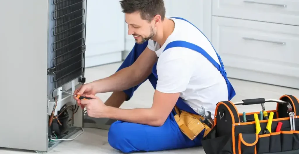 Sirius Fridge repair Service