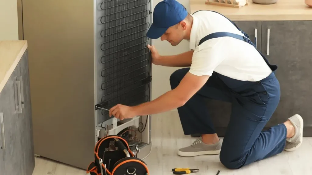 Tappan Fridge repair Service