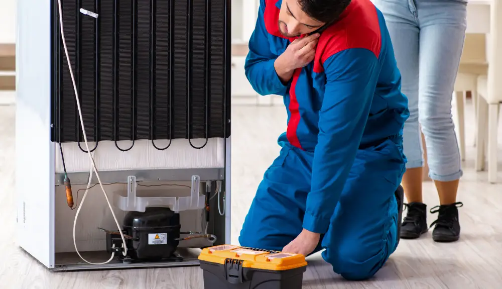 Gaggenau Fridge repair Service