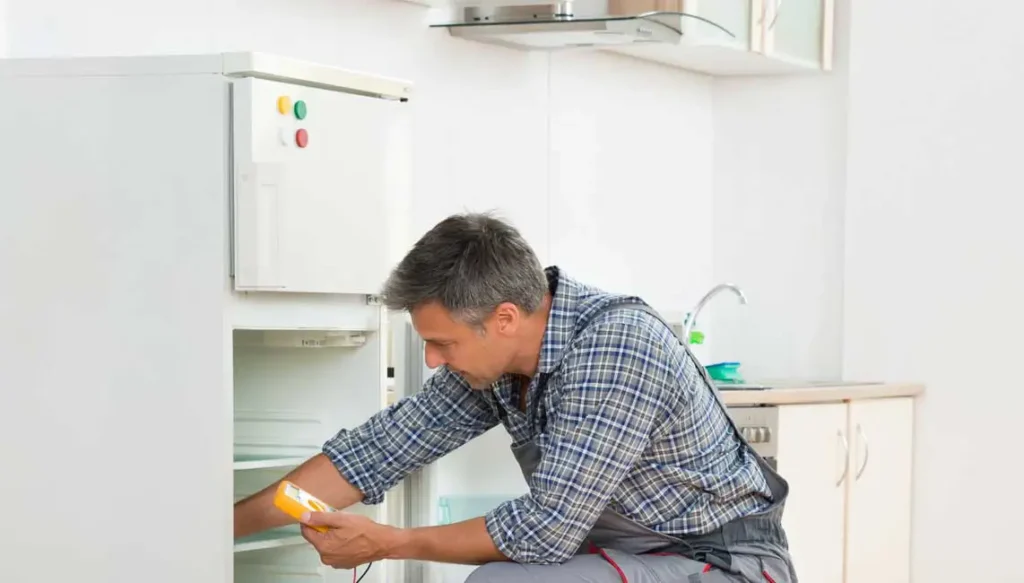 Bosch Fridge repair Service