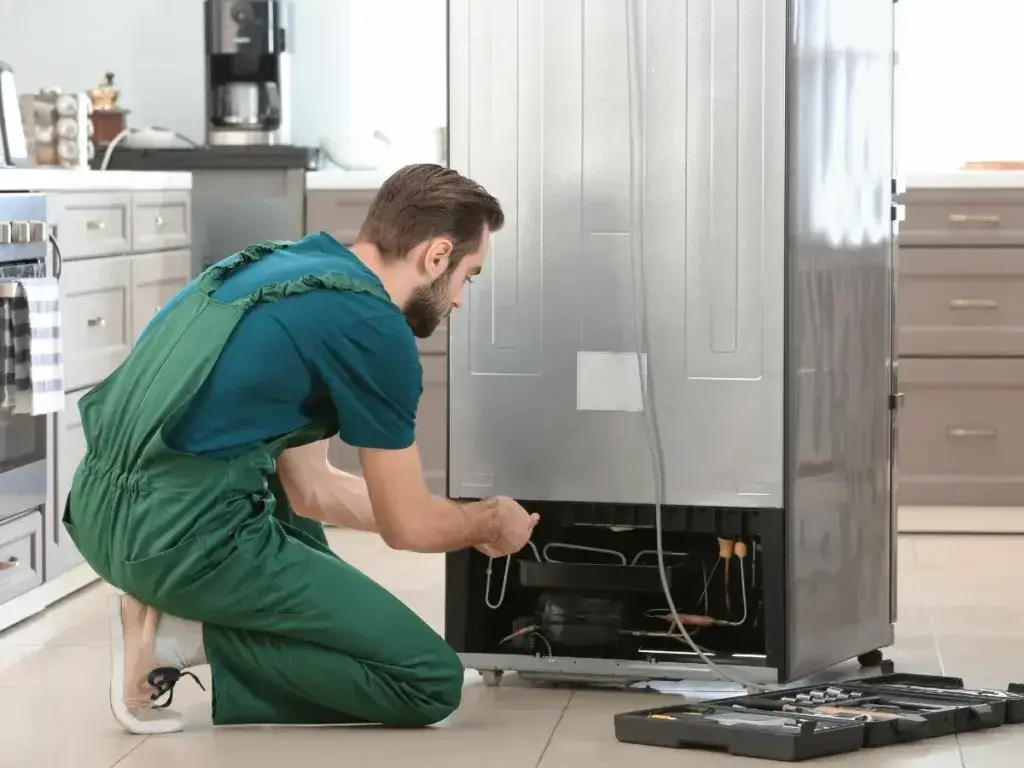 BlueStar Fridge repair Service