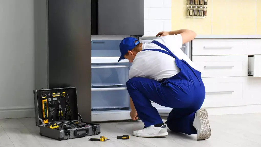 IKEA Fridge repair Service